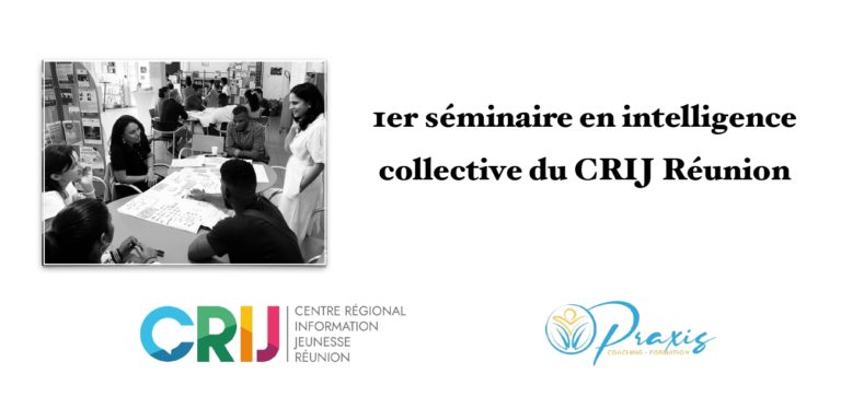 Lire la suite à propos de l’article Séminaire en intelligence collective du CRIJ Réunion